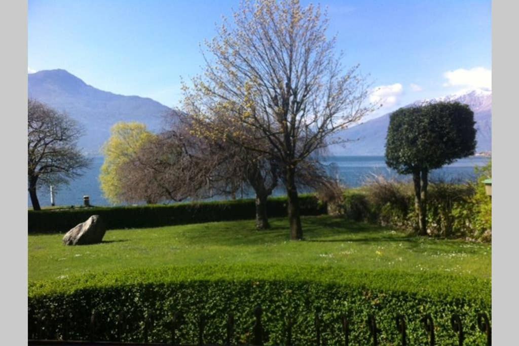 Favoloso Appartamento Fronte Lago, Gera Lario Exterior foto