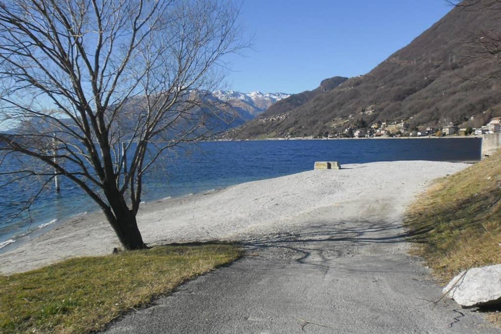 Favoloso Appartamento Fronte Lago, Gera Lario Exterior foto